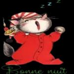Bonne nuit