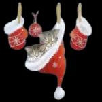 WE wish YOU A merry CHRISTMAS