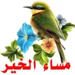 مساء الخير