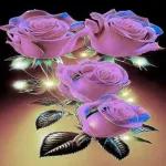 Good hight
my LOVE