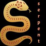 12 animaux du zodiaque chinois