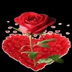 Tu es tout ce que j'ai