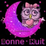 Bonne nuit:)
Bisous:)