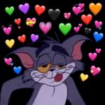 zZ BONNE NUIT 