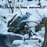 Passez un beau mercredi 9.9 Bonne journée