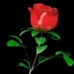 les fleurs pour mes copins❤️❤️❤️😘😘😘