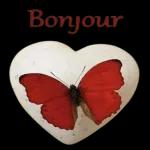 Bonjour