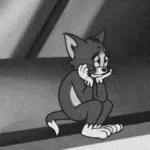 autocollants recommandés