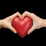 Bisous Bisous