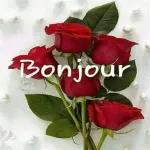 Bonjour ❤️