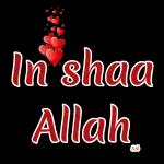 In shaa
Allah
SM