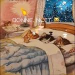 good night have a romantic night