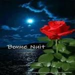 Bonne nuit bisous