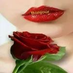 Bonjour ❤️