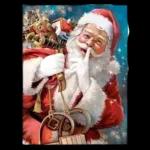 Joyeux Noël🎄🎄🎄