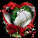 réveillé...
BONJOUR
Je te souhaite
une Excellente
Journée
@marvalila du monder
Omary une Ex
Gros
Bisous