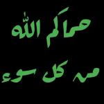 تدمر في عاية الله وحفظة