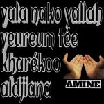 A Good Night My Love