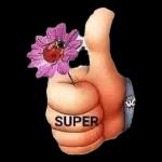 SUPER