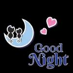 Good Night Y