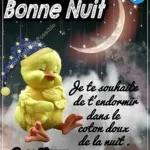 Bonne Nuit