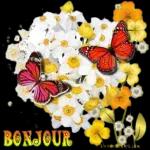Café?
Bonjour!