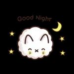 Good night🌟