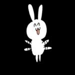 cutie rabbit