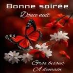 Bonne soirée Douce nuit Gros bisous A demain