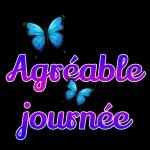 Tu es tout ce que j'ai