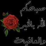 Gany Jule Gany-