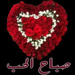 صباح الحب