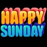 3DIAS SEMANA/FIN SEMANA03