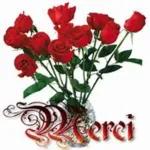 merci rose