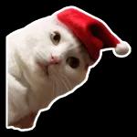 JOYEUX NOEL