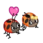 Z Z Z