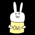 cutie rabbit