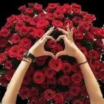 Lovely  love