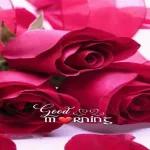 good morning
