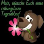 Tägliche Grüße🌹