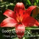 Lovely day!🔅