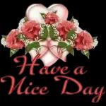 have a nice day