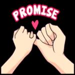 promise 