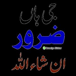KutuKD