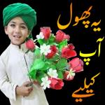 السلام عليكم