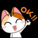 It’s been such a long time without you ❤️