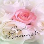 good morning