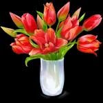 A new day has come🌞