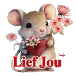 lief jou