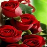 good morning, I love you